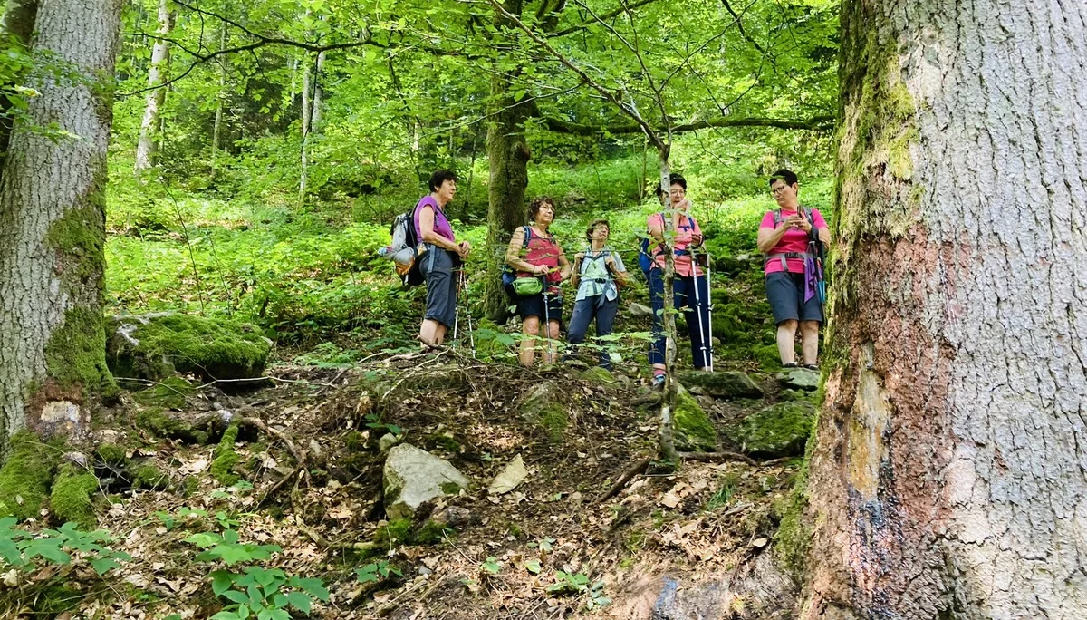 Wanderung durch die Buchberger Leiten | © Killesreiter Marlene