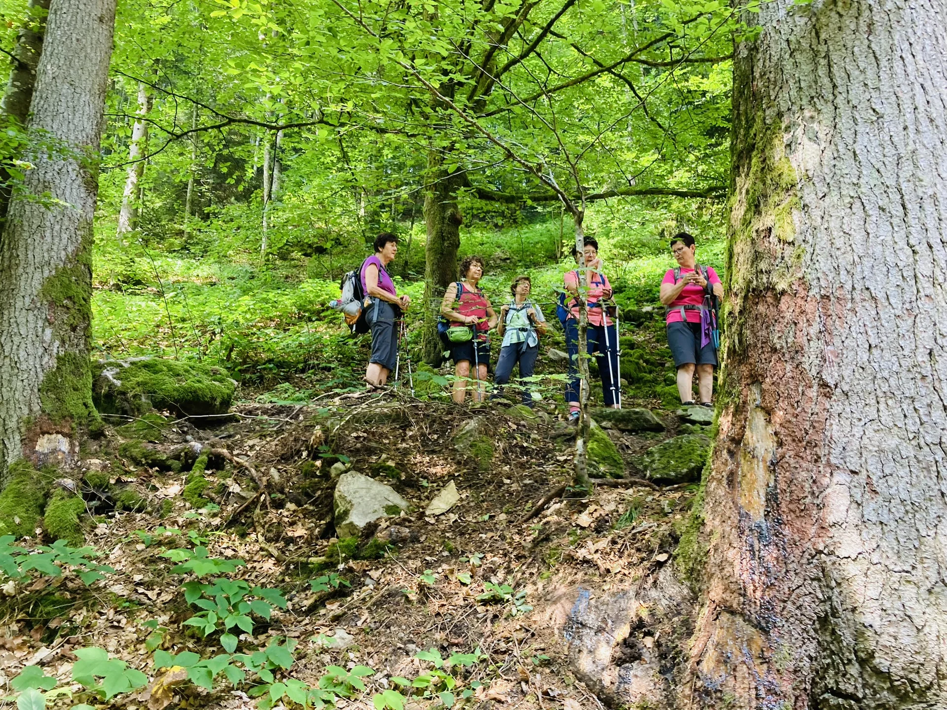 Wanderung durch die Buchberger Leiten | © Killesreiter Marlene