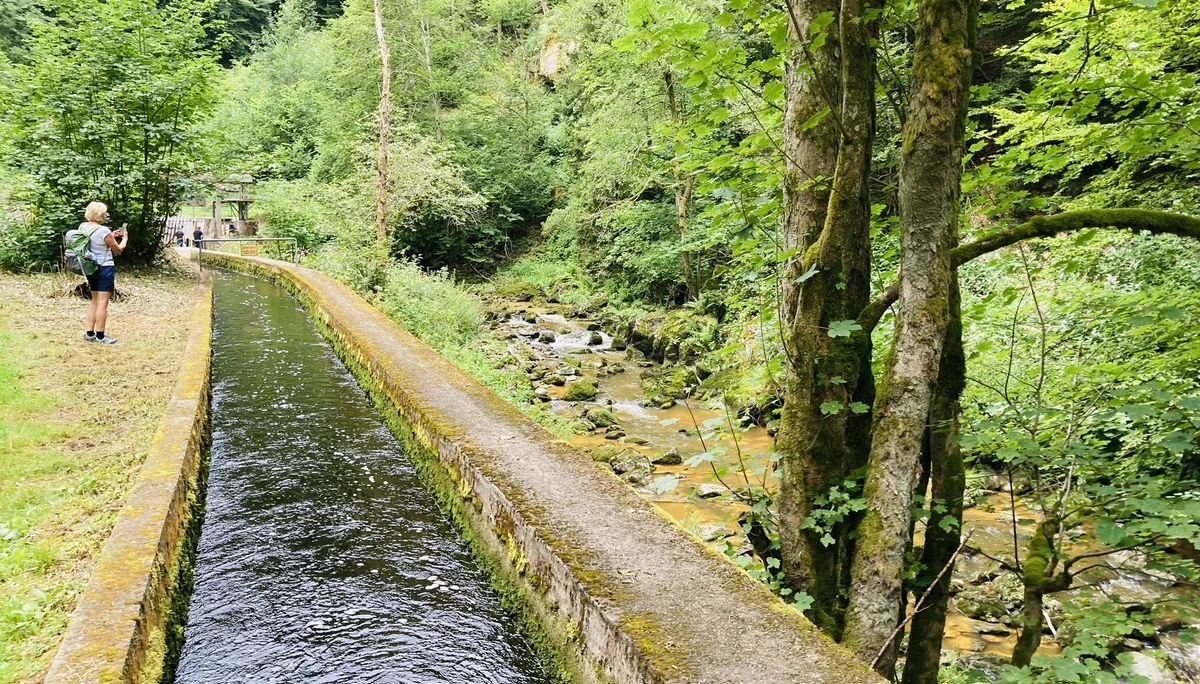 Wanderung durch die Buchberger Leiten | © Killesreiter Marlene