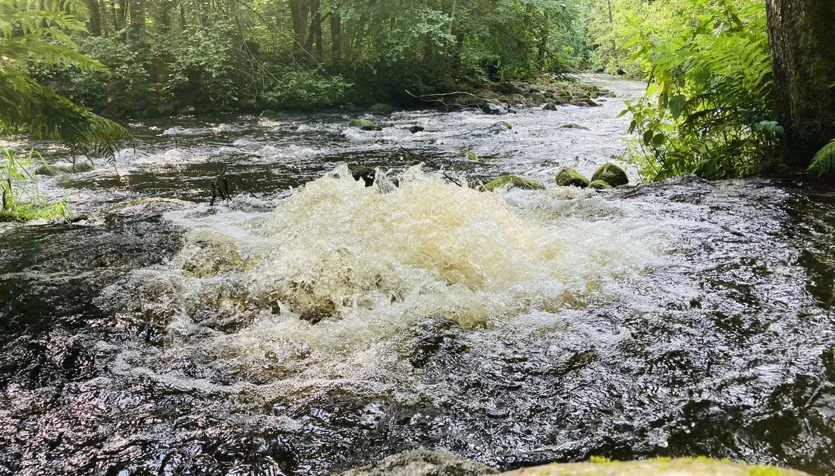 Wanderung durch die Buchberger Leiten | © Killesreiter Marlene