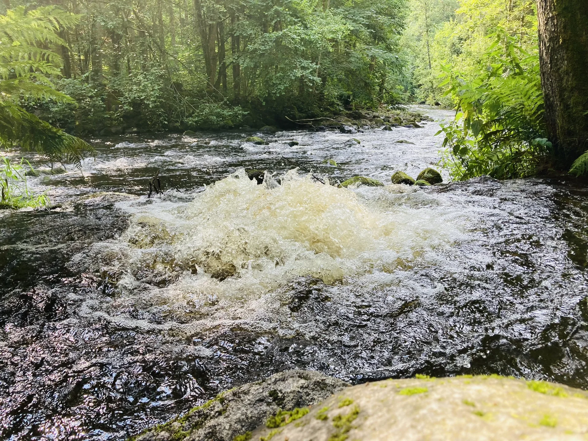 Wanderung durch die Buchberger Leiten | © Killesreiter Marlene