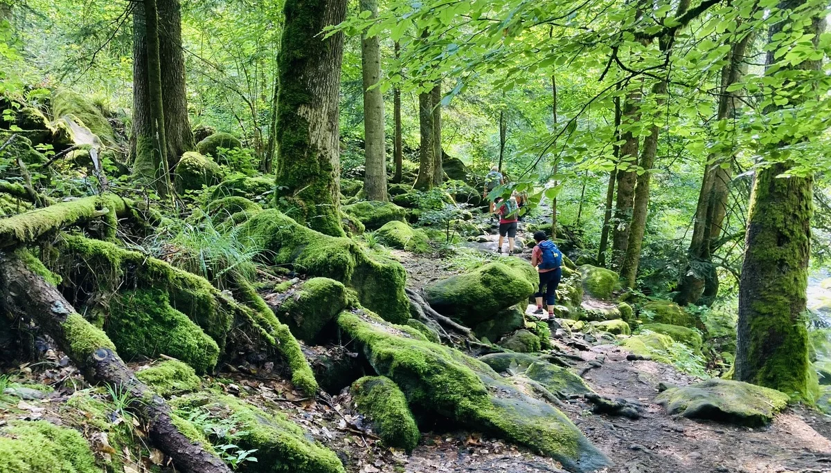 Wanderung durch die Buchberger Leiten | © Killesreiter Marlene