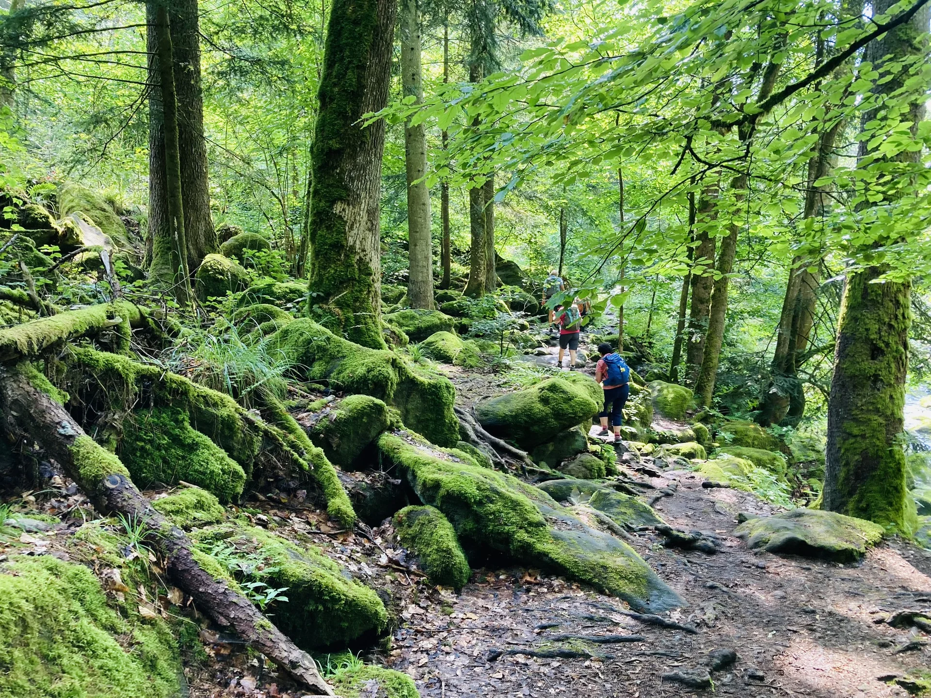 Wanderung durch die Buchberger Leiten | © Killesreiter Marlene