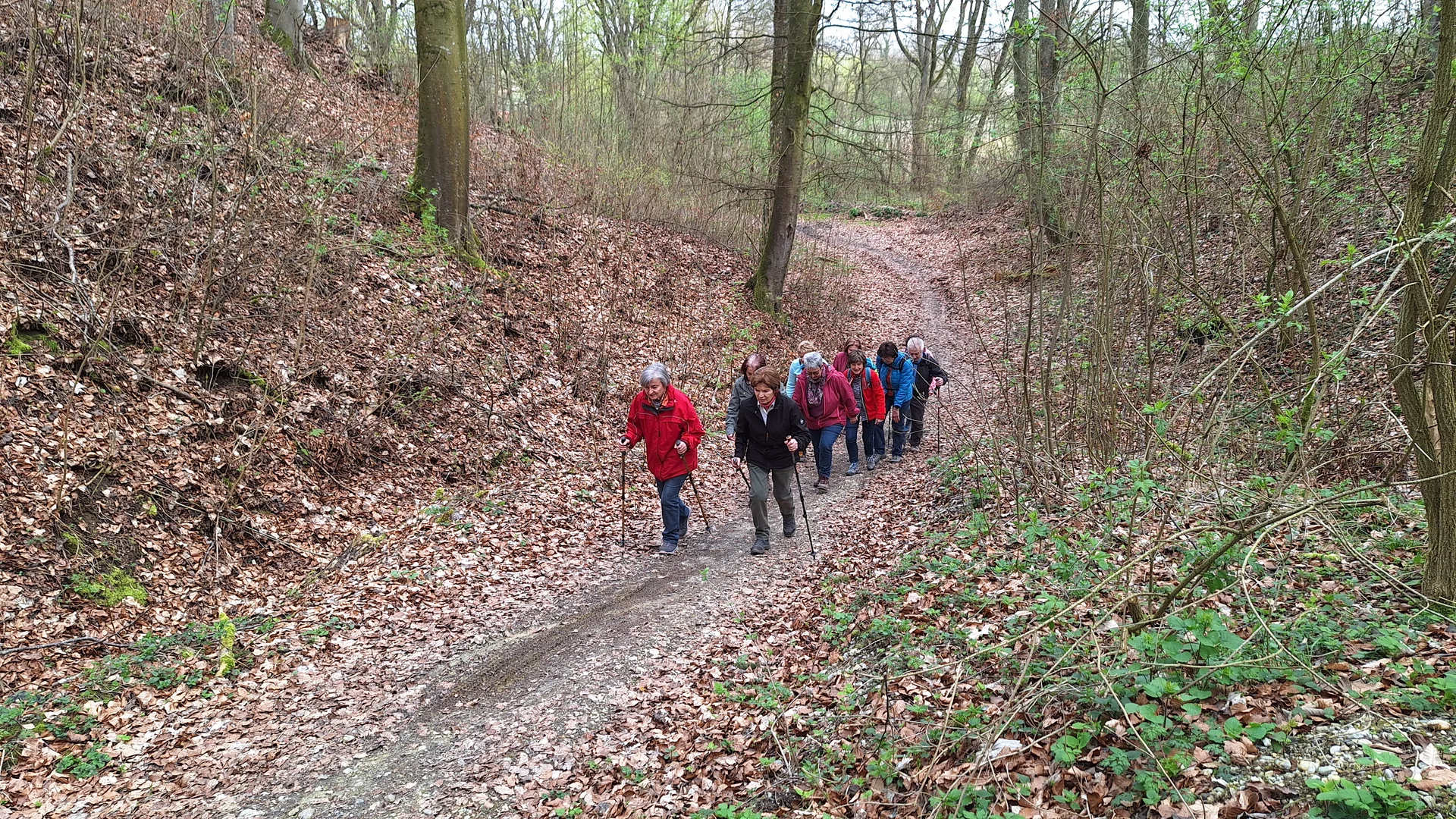 Wanderung nach Gottfrieding | © Maier Georg