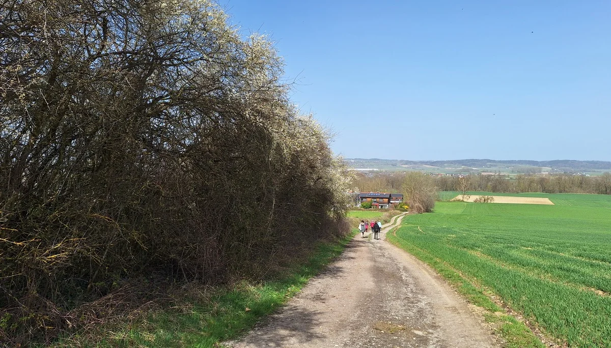 Wanderung nach Gottfrieding | © Maier Georg