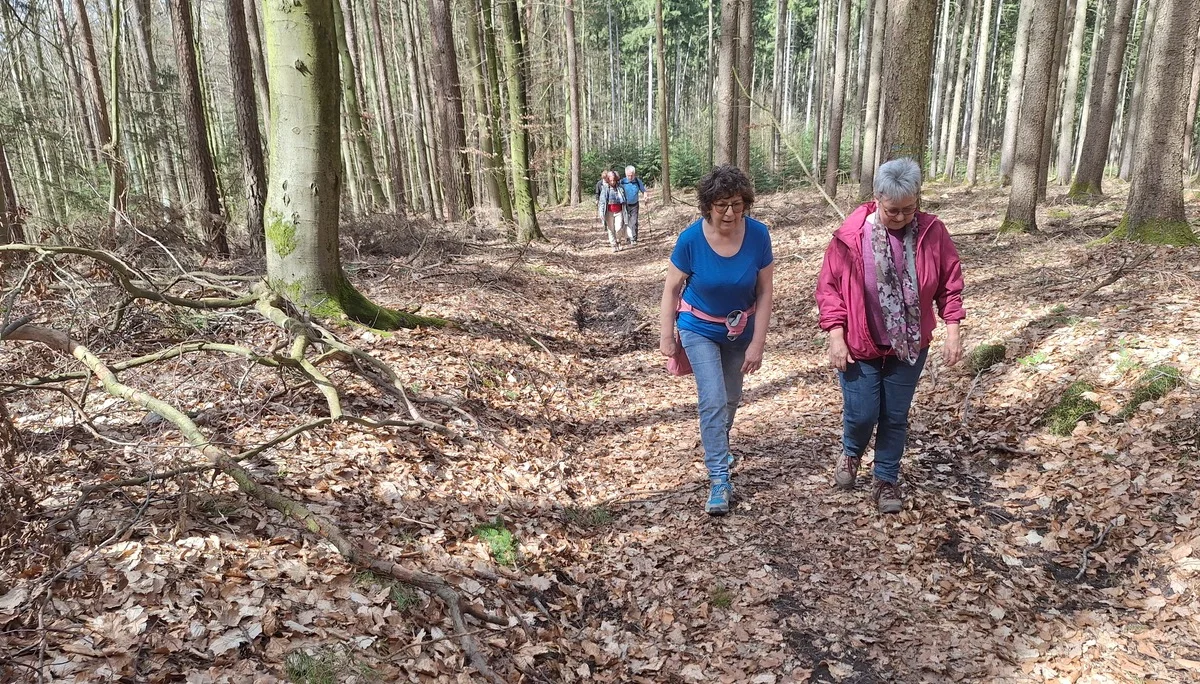 Wanderung nach Gottfrieding | © Maier Georg