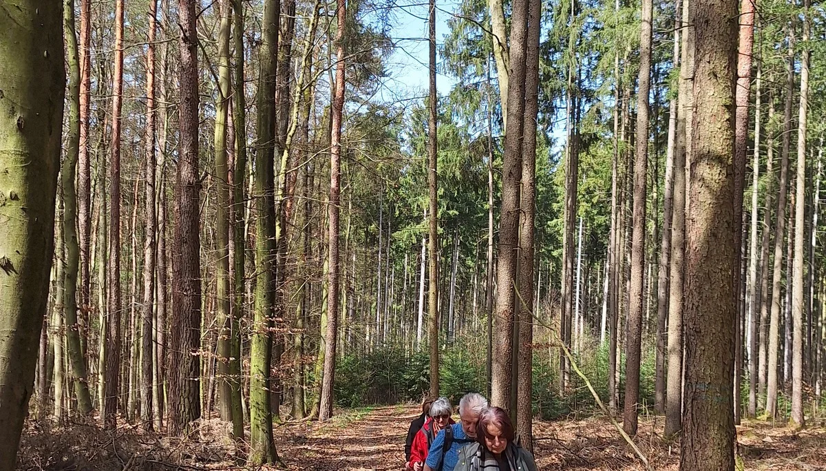 Wanderung nach Gottfrieding | © Maier Georg
