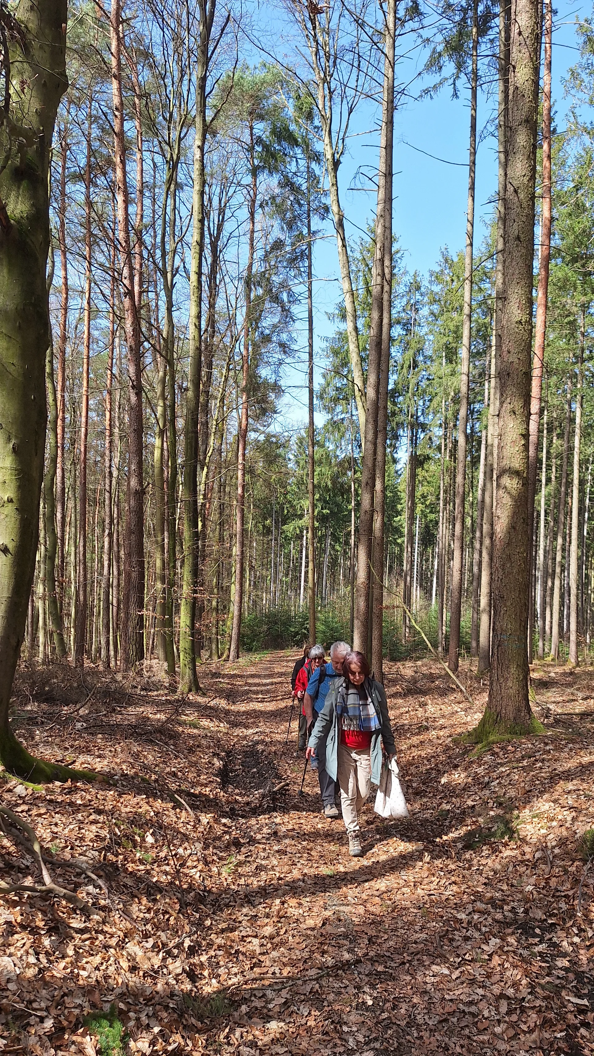 Wanderung nach Gottfrieding | © Maier Georg