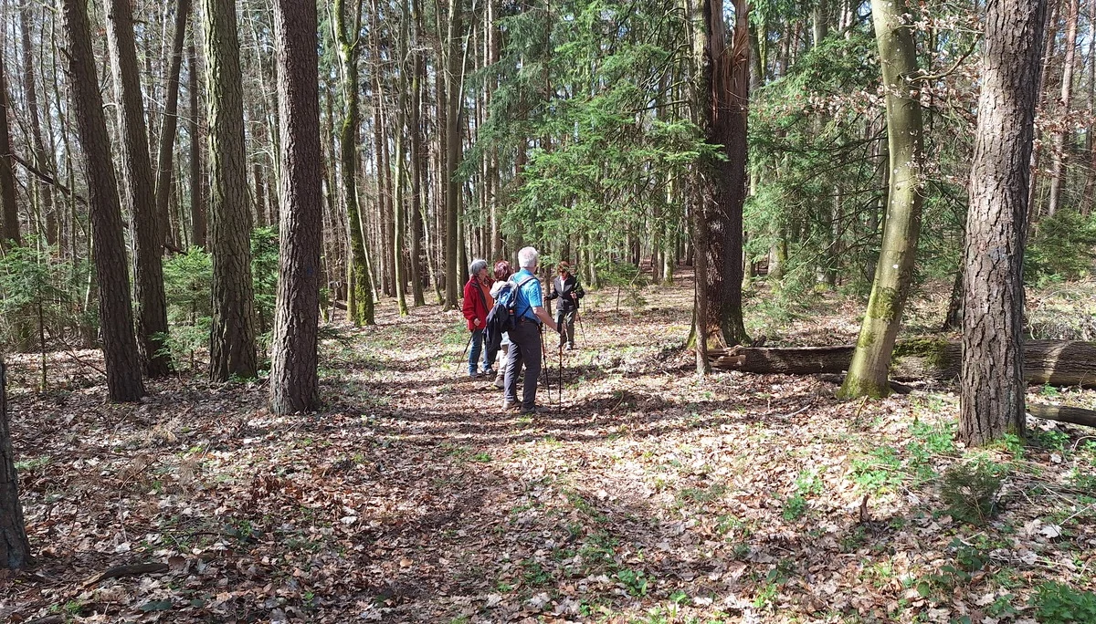 Wanderung nach Gottfrieding | © Maier Georg