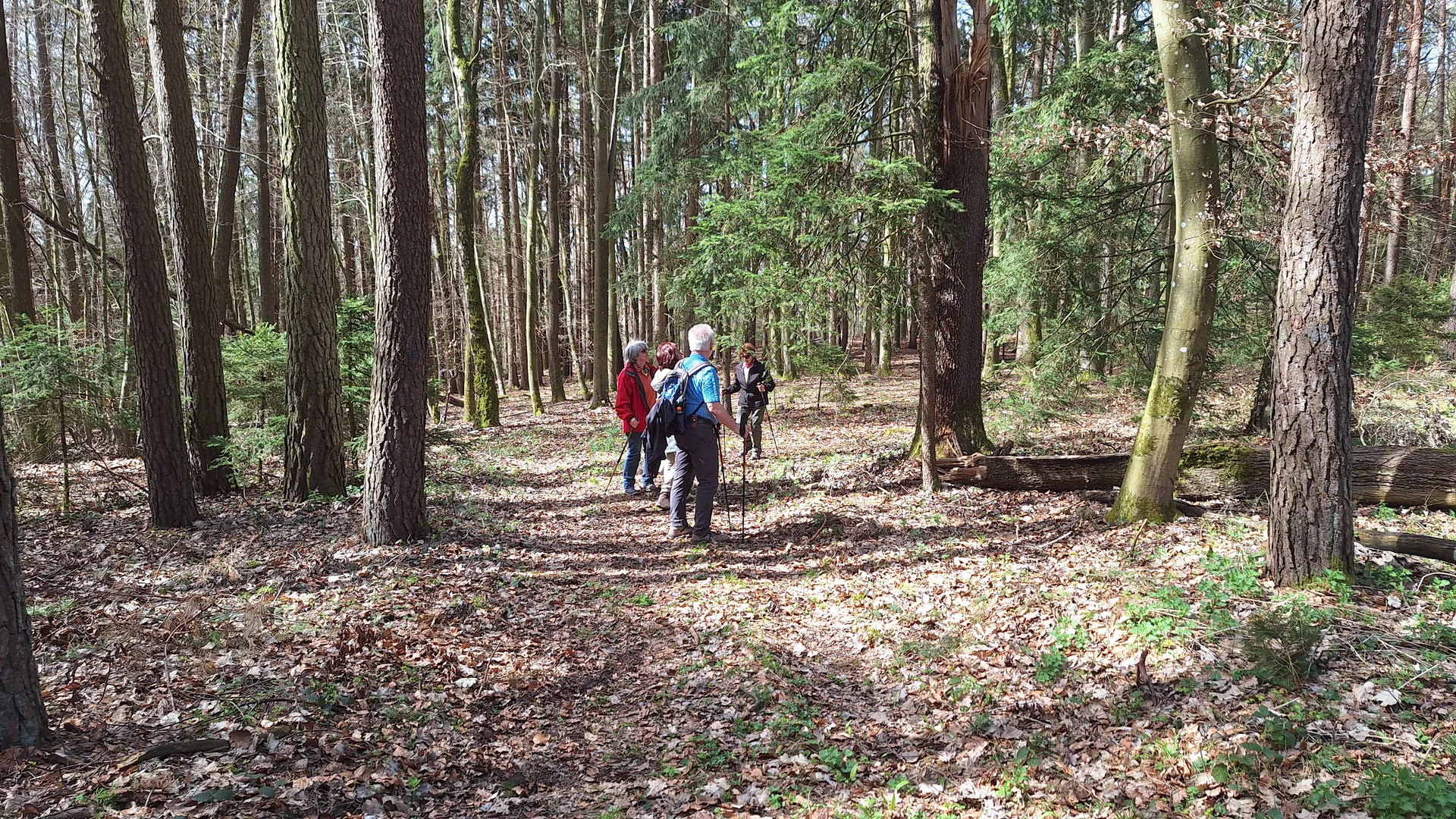 Wanderung nach Gottfrieding | © Maier Georg
