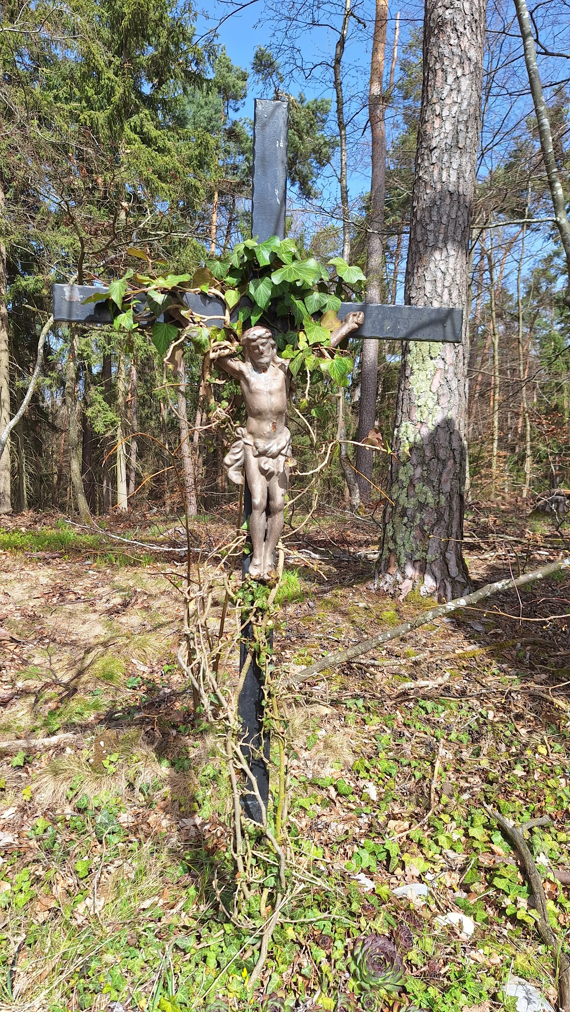 Wanderung nach Gottfrieding | © Maier Georg