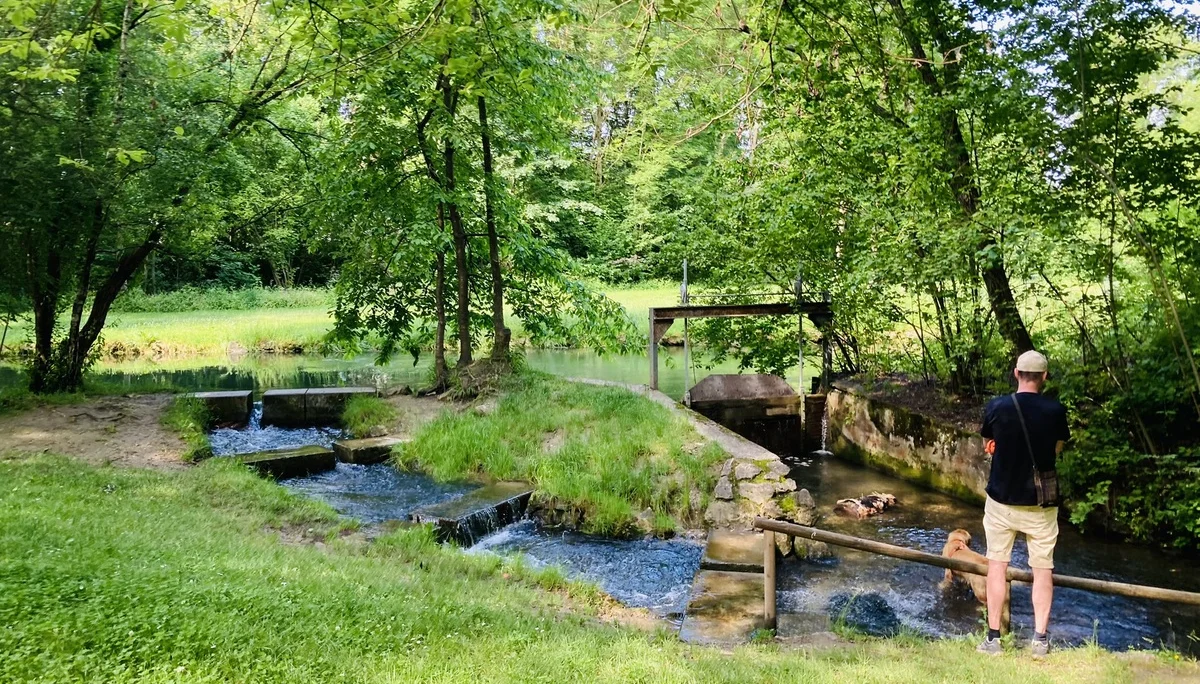 Wandern im grünen München | © Meier Brigitte