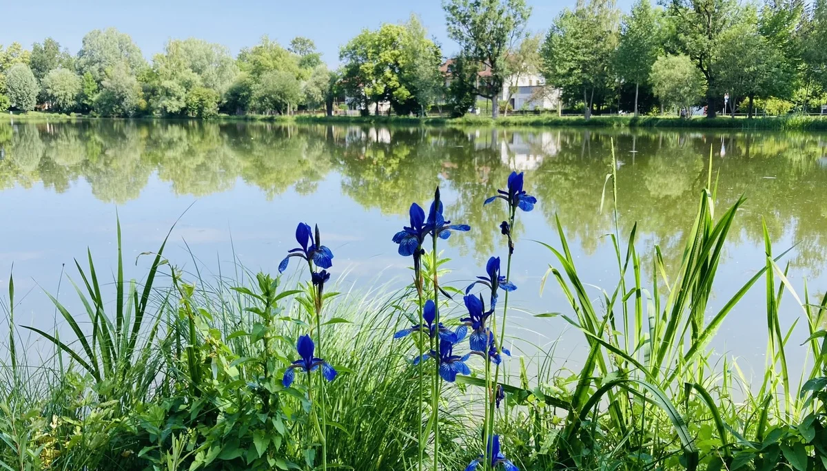 Wandern im grünen München | © Meier Brigitte