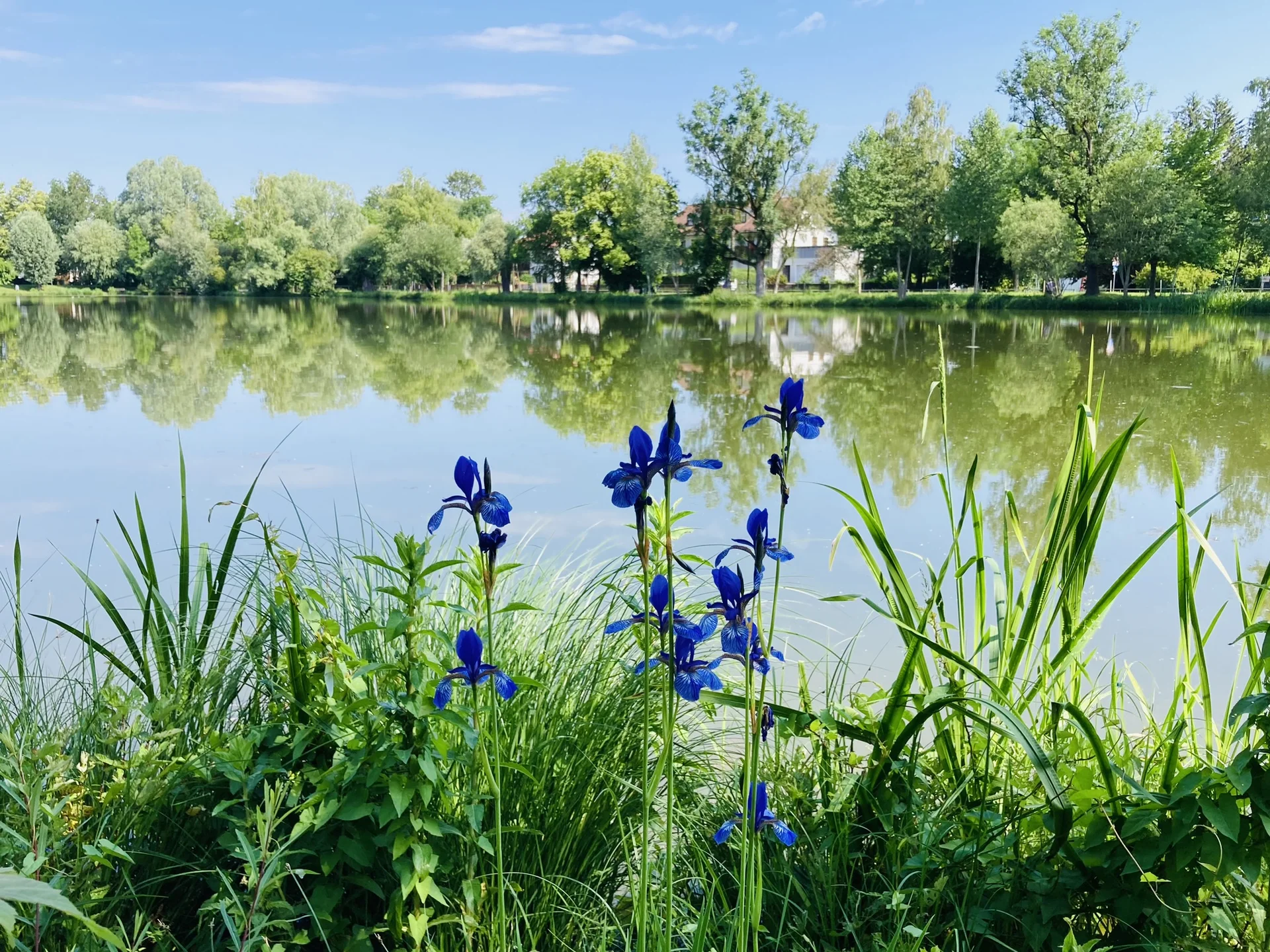 Wandern im grünen München | © Meier Brigitte