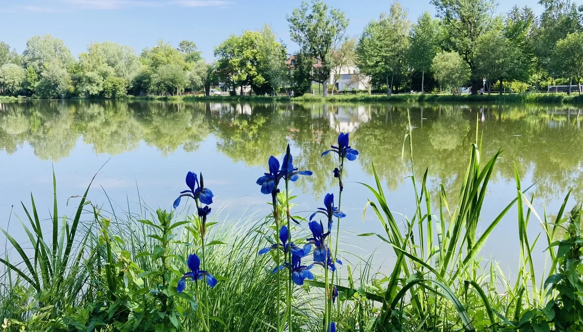 Wandern im grünen München | © Meier Brigitte