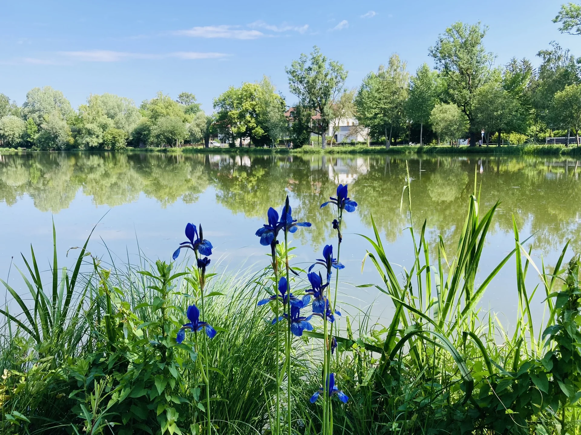 Wandern im grünen München | © Meier Brigitte