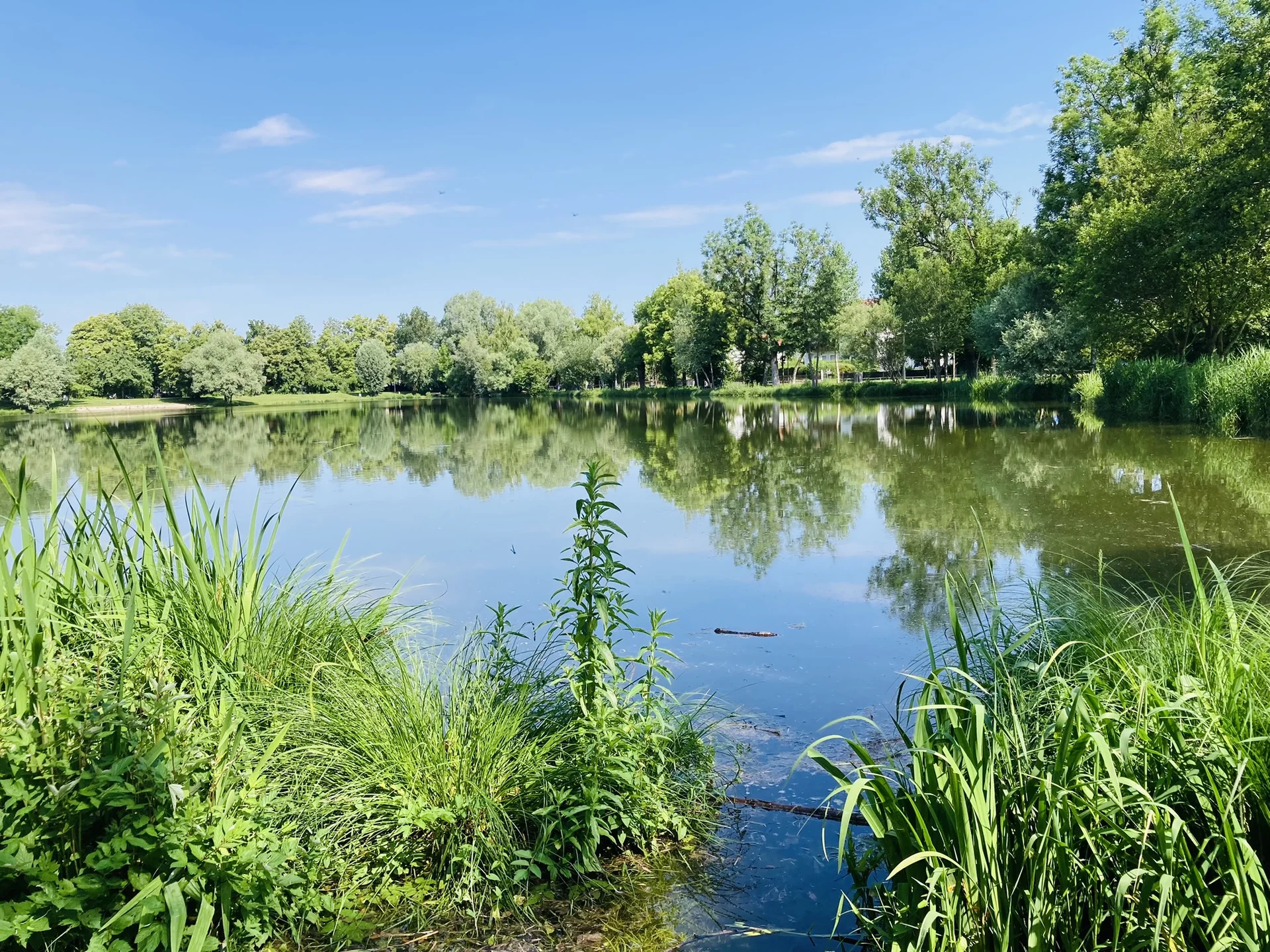 Wandern im grünen München | © Meier Brigitte