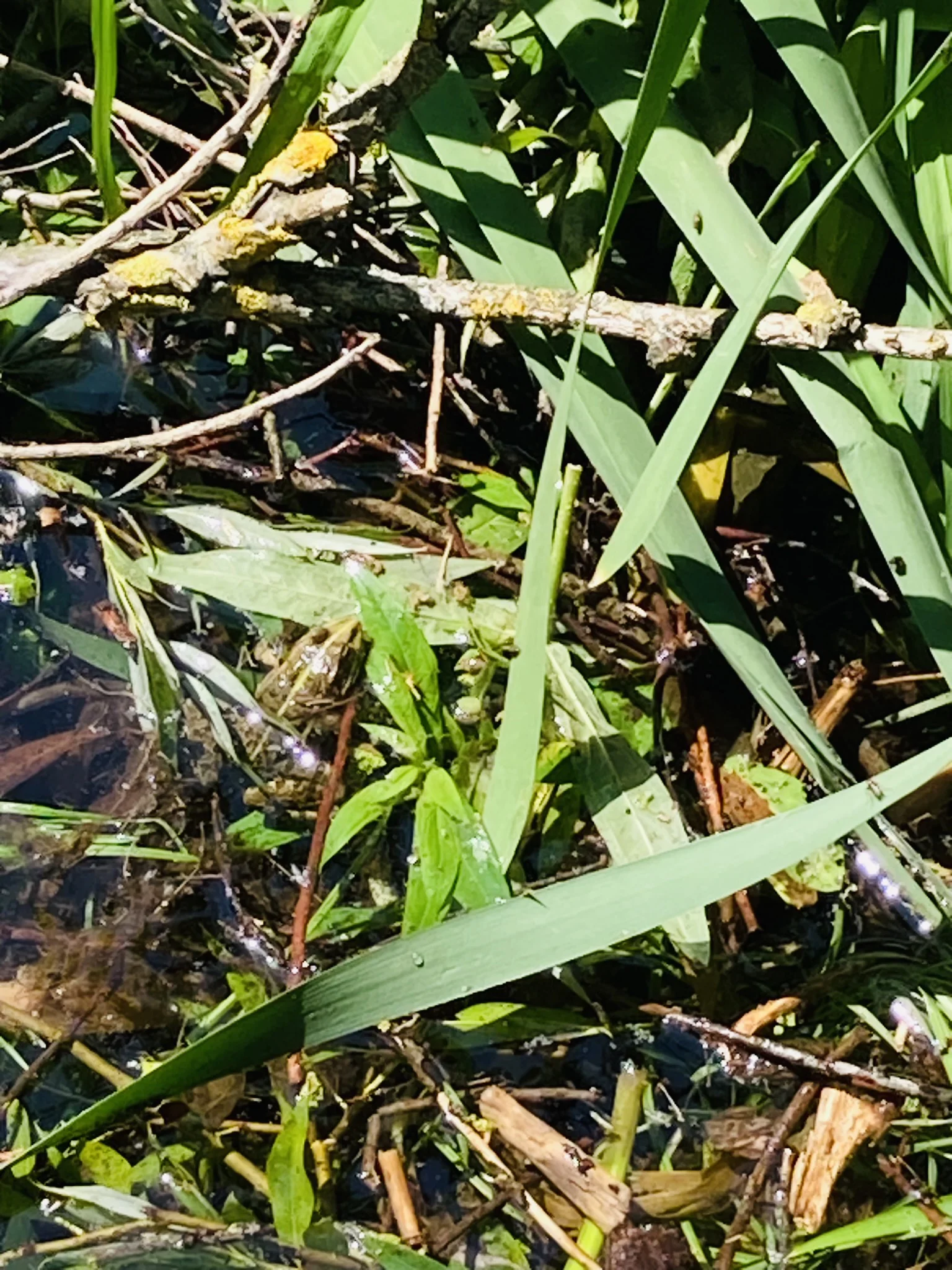 Wandern im grünen München | © Meier Brigitte