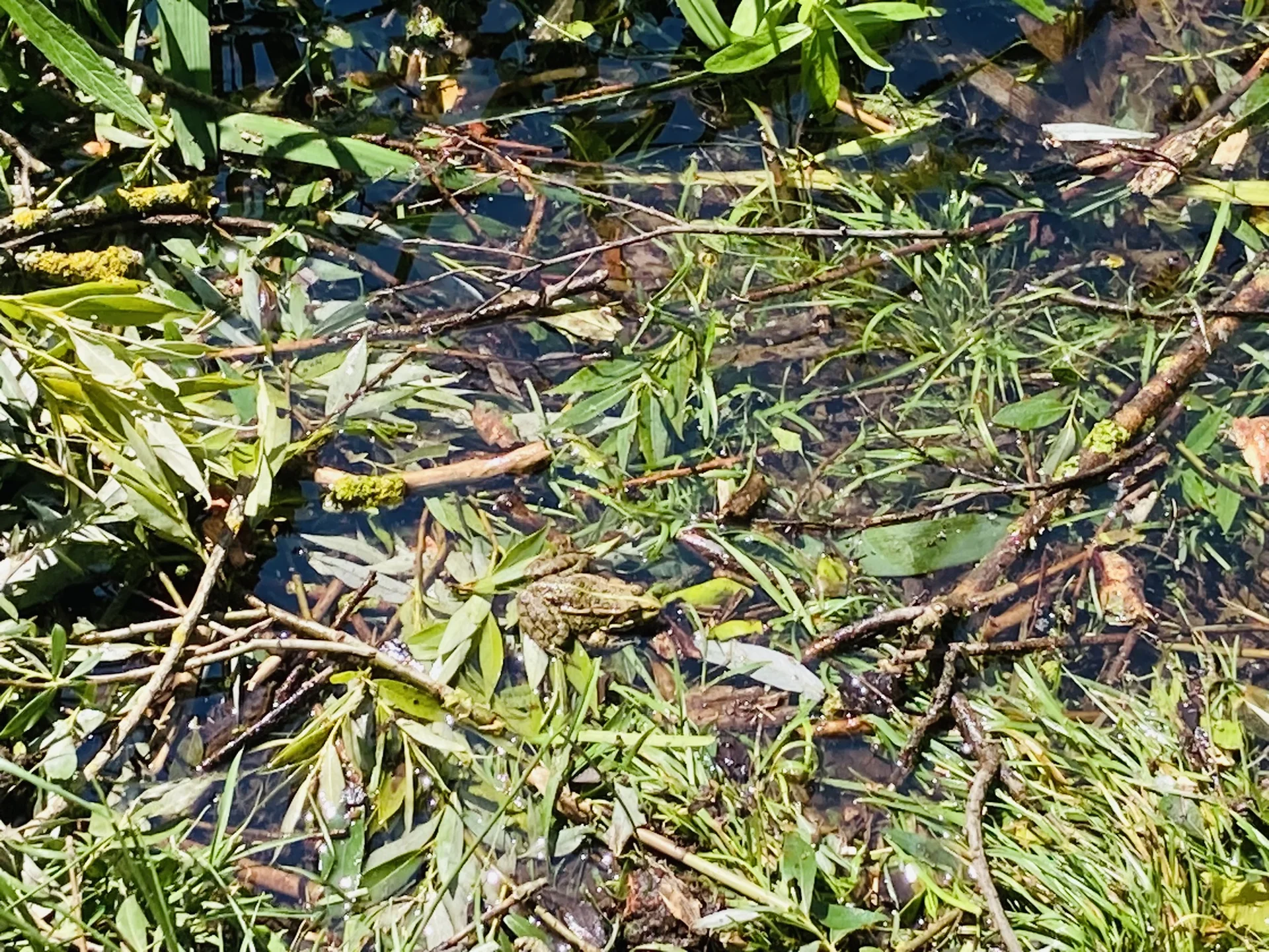 Wandern im grünen München | © Meier Brigitte