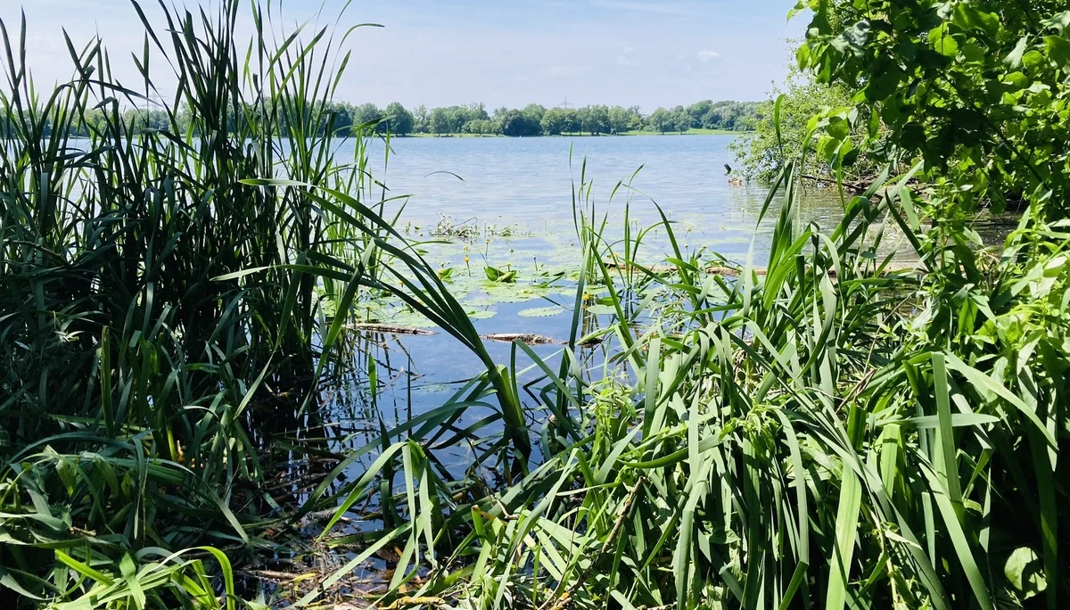 Wandern im grünen München | © Meier Brigitte