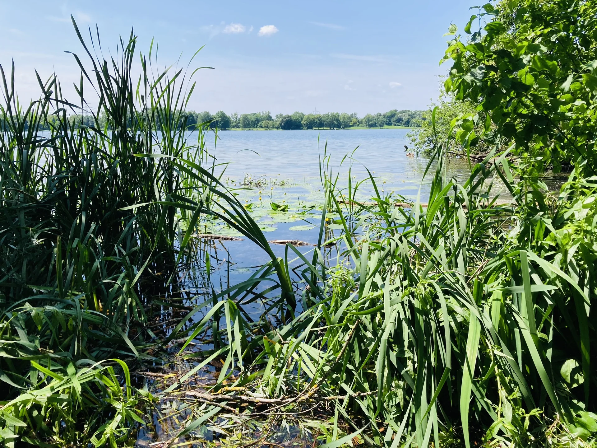 Wandern im grünen München | © Meier Brigitte