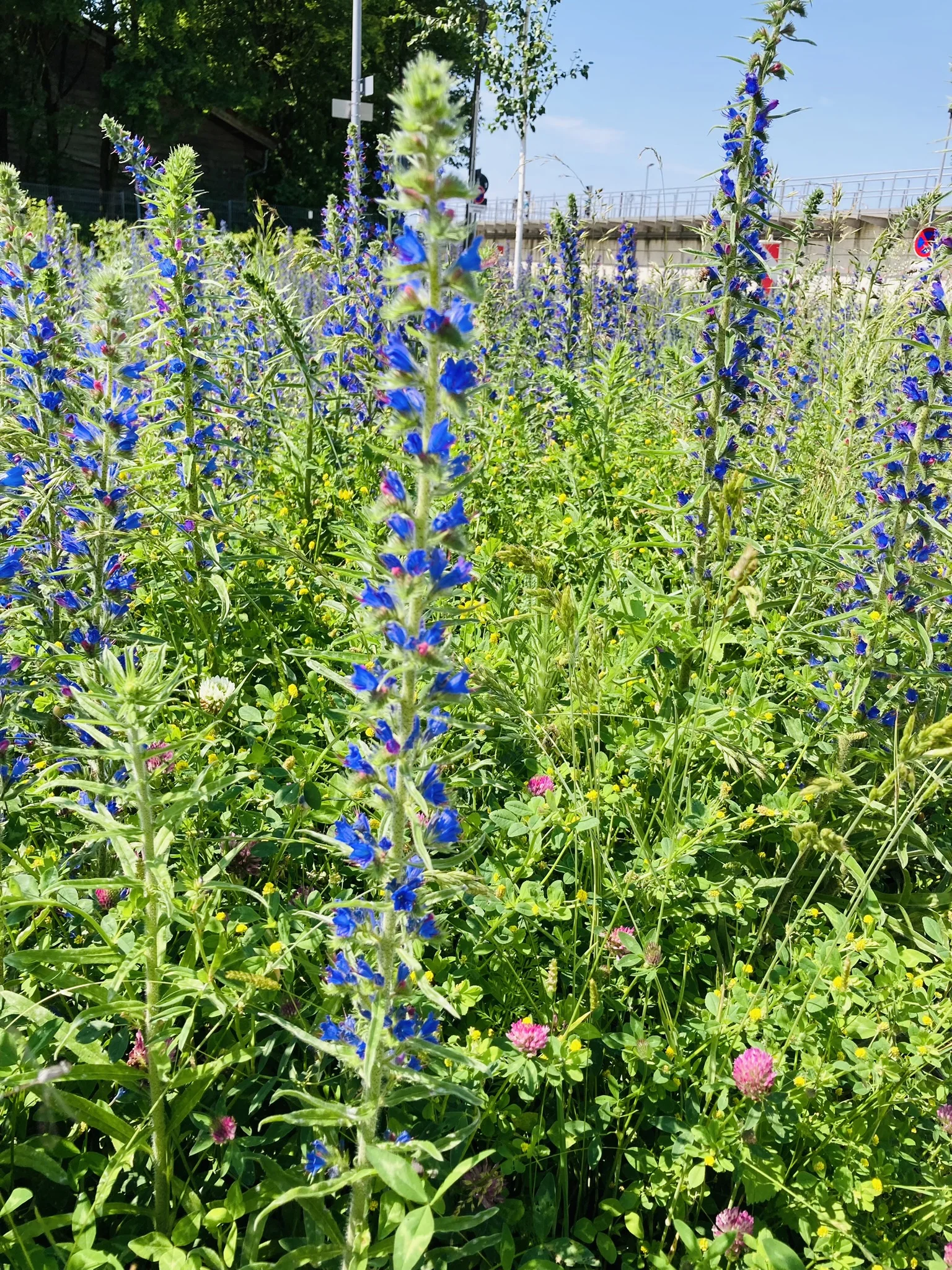 Wandern im grünen München | © Meier Brigitte