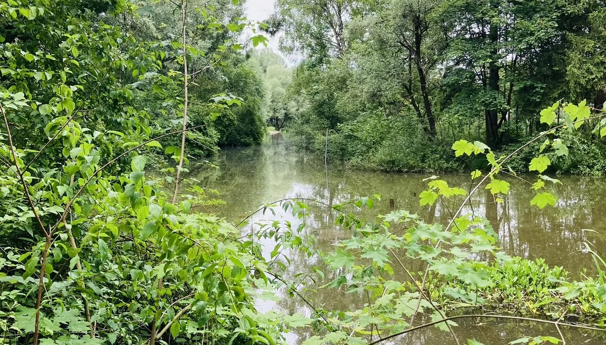 Wandern im grünen München | © Meier Brigitte