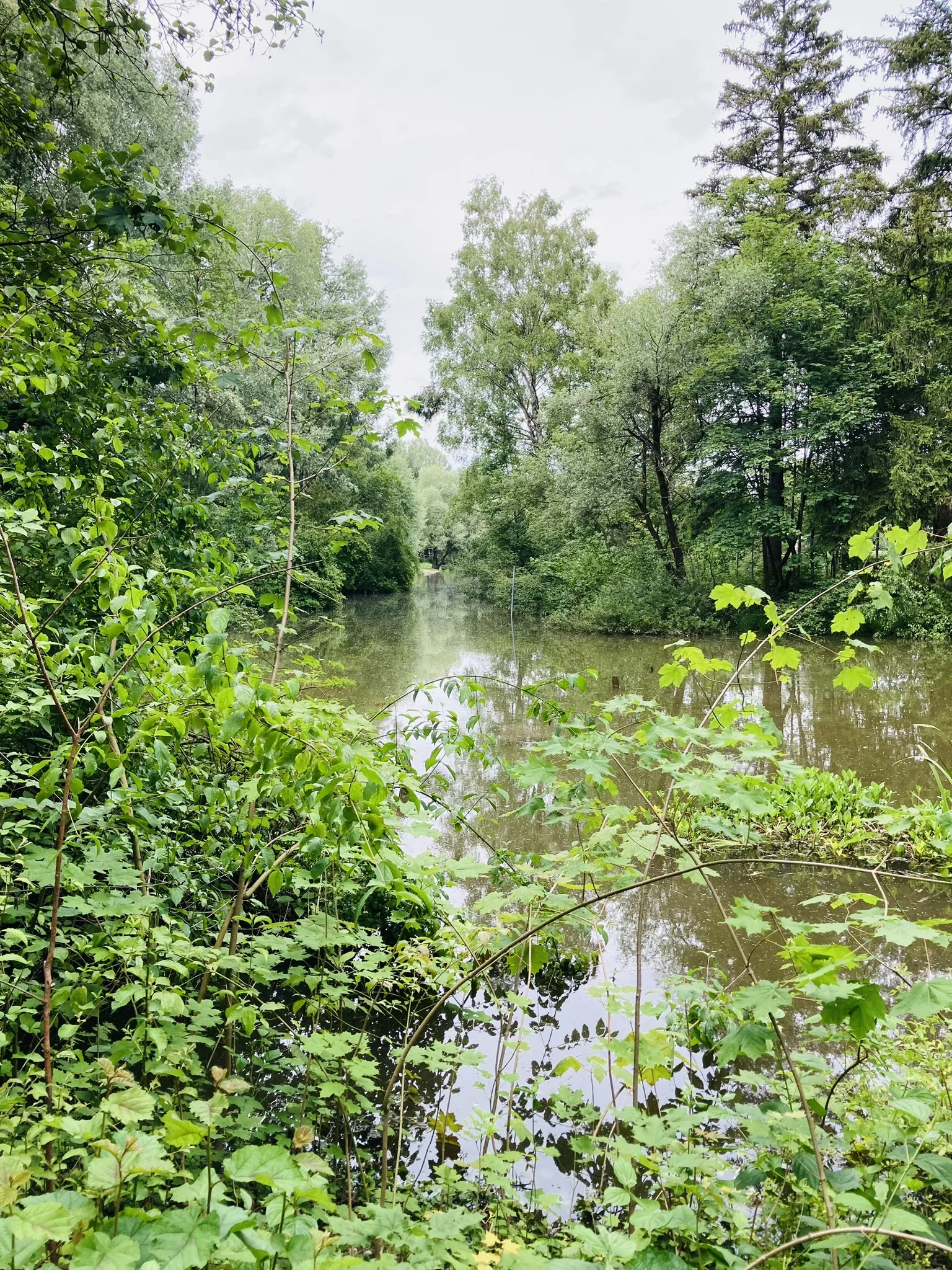 Wandern im grünen München | © Meier Brigitte