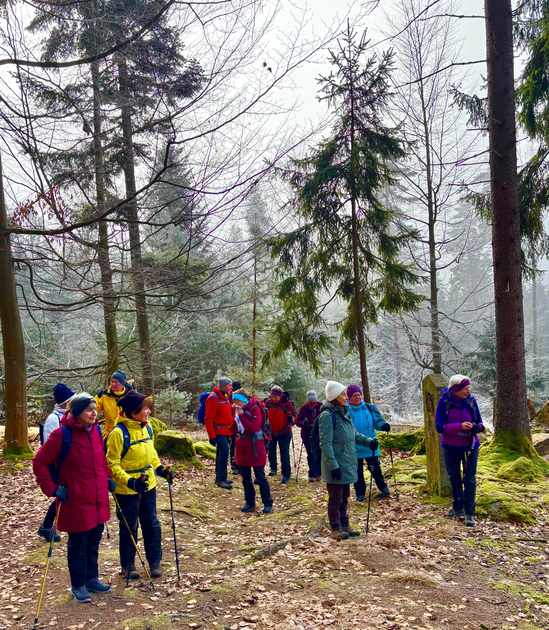 Winterwanderung auf dem Wolfgangsweg | © Gina Mandl / Killesreiter Marlene