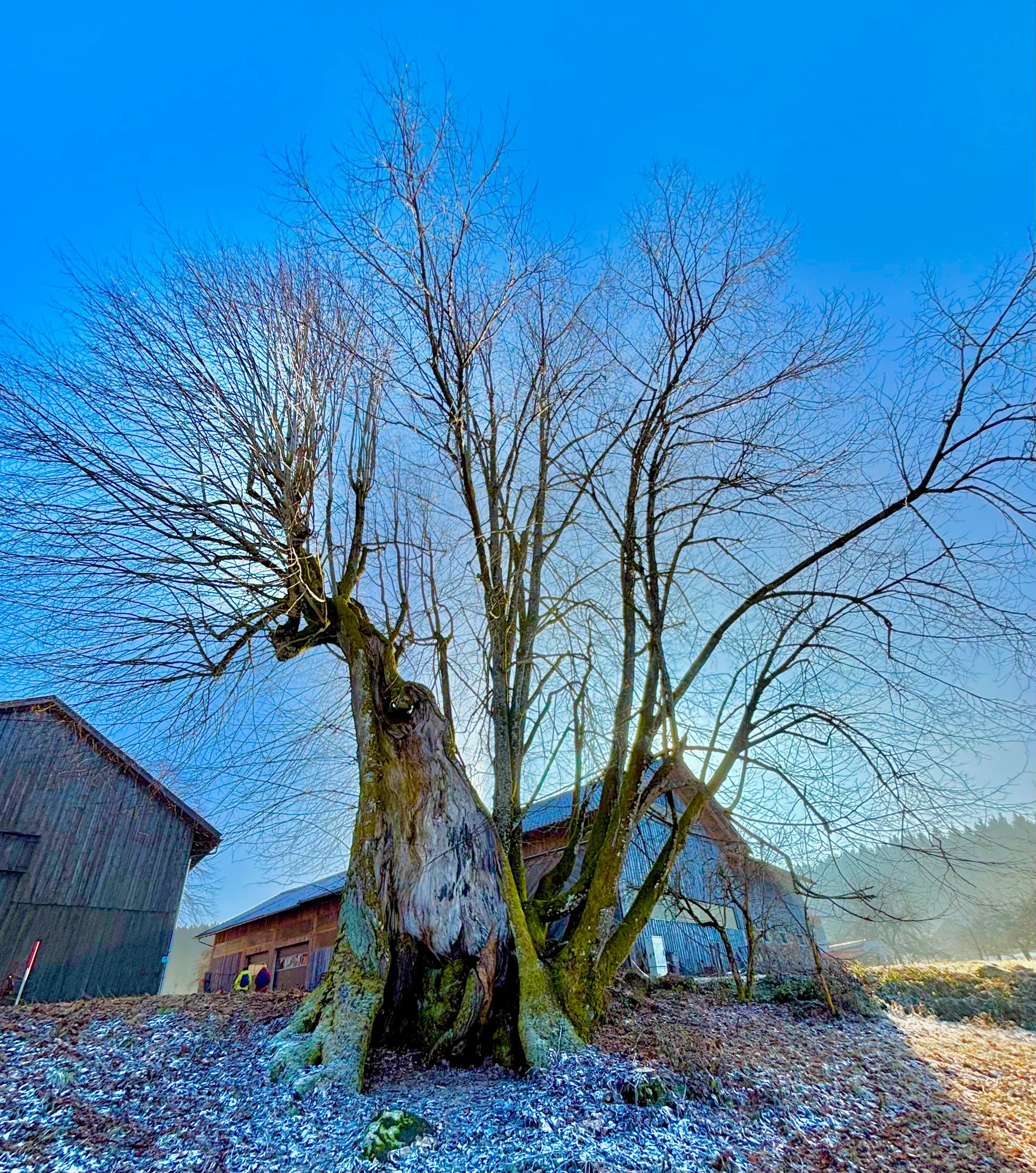 Winterwanderung auf dem Wolfgangsweg | © Gina Mandl / Killesreiter Marlene
