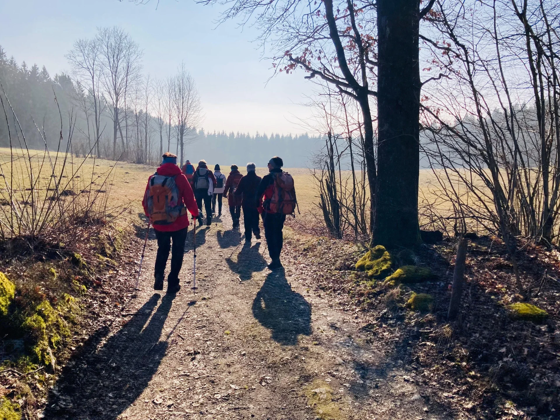 Winterwanderung auf dem Wolfgangsweg | © Gina Mandl / Killesreiter Marlene