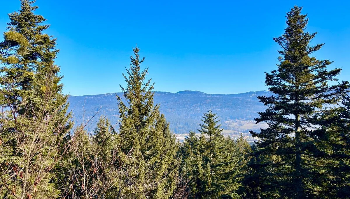 Winterwanderung auf dem Wolfgangsweg | © Gina Mandl / Killesreiter Marlene
