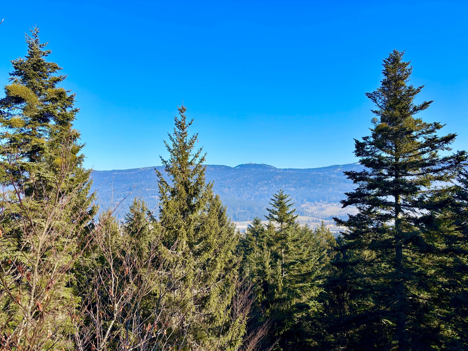 Winterwanderung auf dem Wolfgangsweg | © Gina Mandl / Killesreiter Marlene