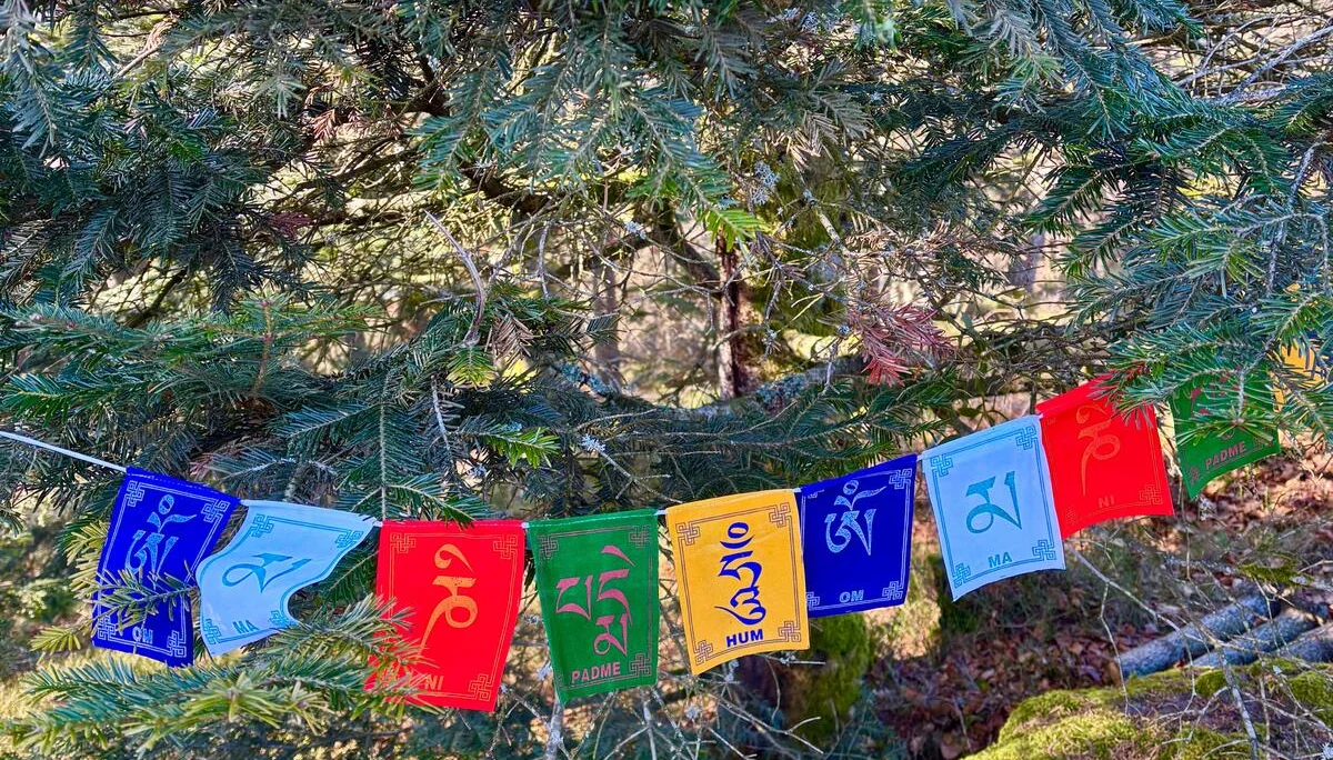 Winterwanderung auf dem Wolfgangsweg | © Gina Mandl / Killesreiter Marlene