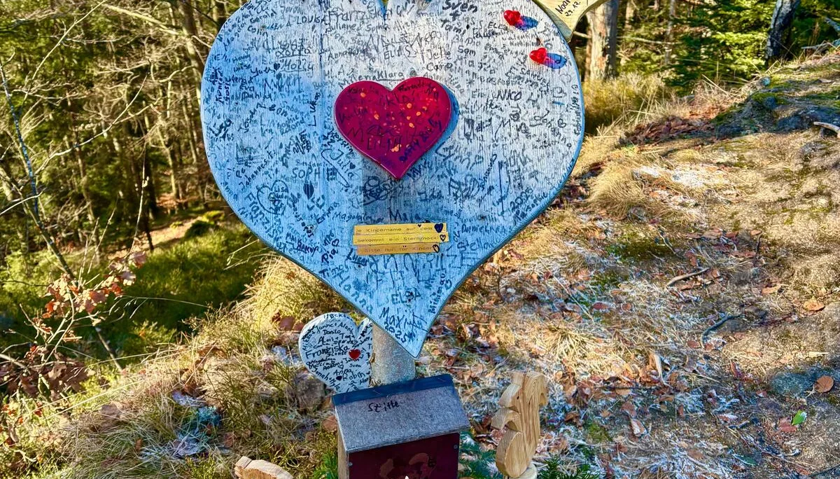 Winterwanderung auf dem Wolfgangsweg | © Gina Mandl / Killesreiter Marlene