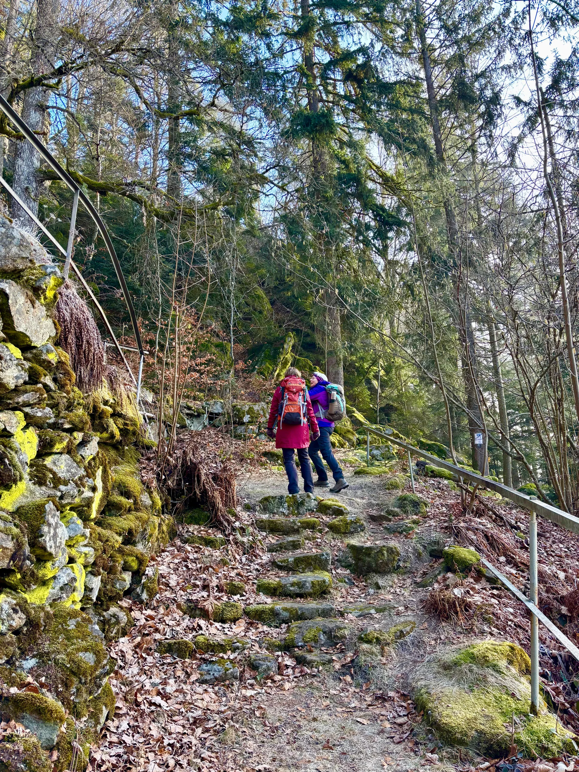 Winterwanderung auf dem Wolfgangsweg | © Gina Mandl / Killesreiter Marlene