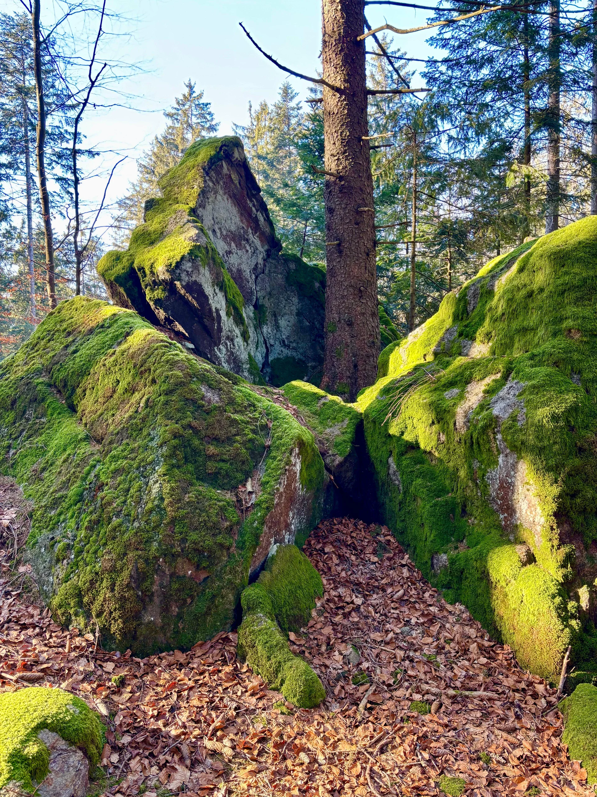 Winterwanderung auf dem Wolfgangsweg | © Gina Mandl / Killesreiter Marlene