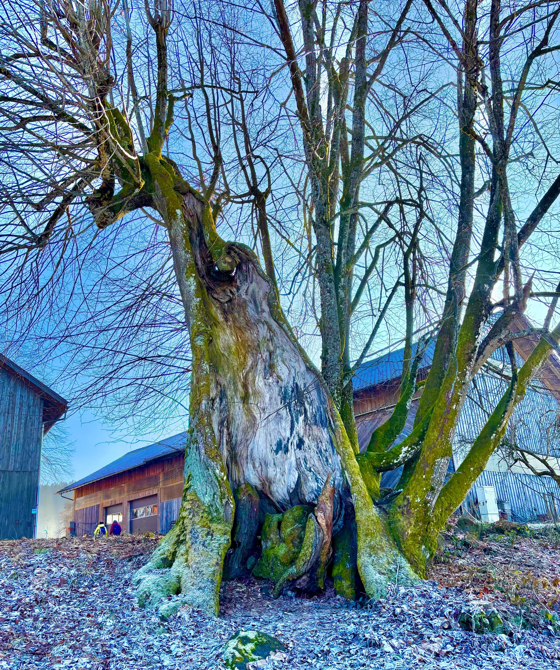Winterwanderung auf dem Wolfgangsweg | © Gina Mandl / Killesreiter Marlene