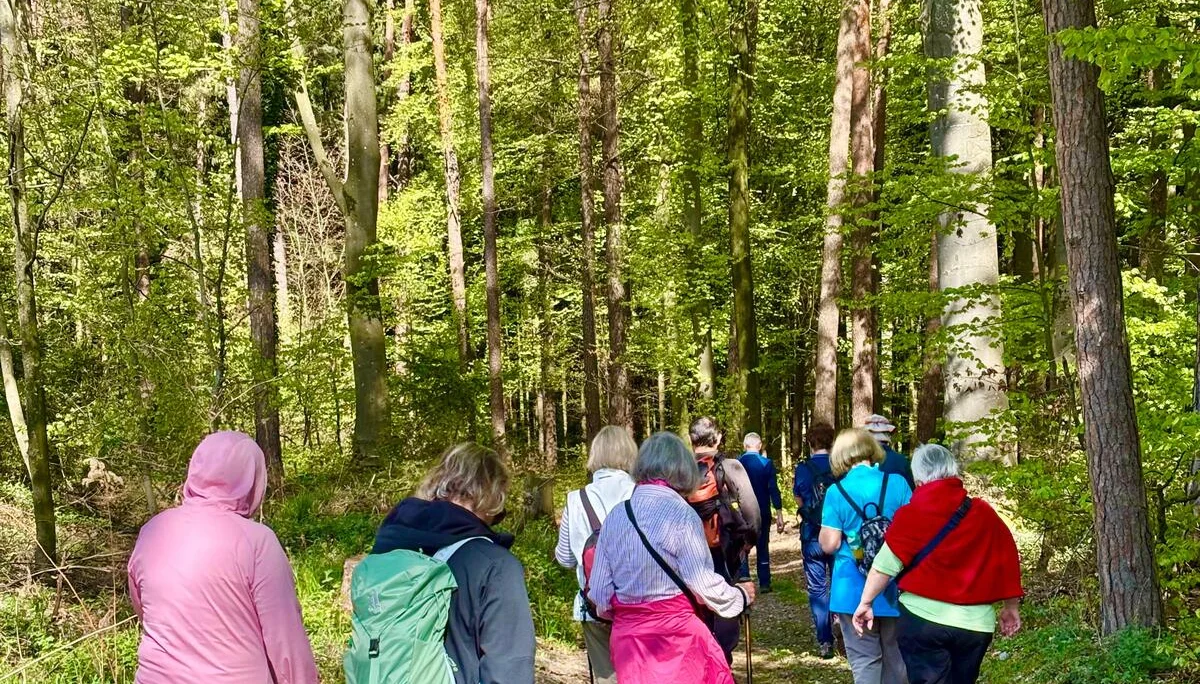 Zum Fischessen nach Gottfrieding | © Maier Georg