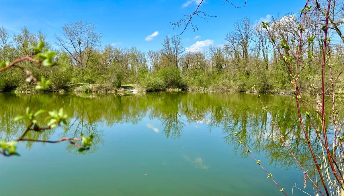 Zum Fischessen nach Gottfrieding | © Maier Georg