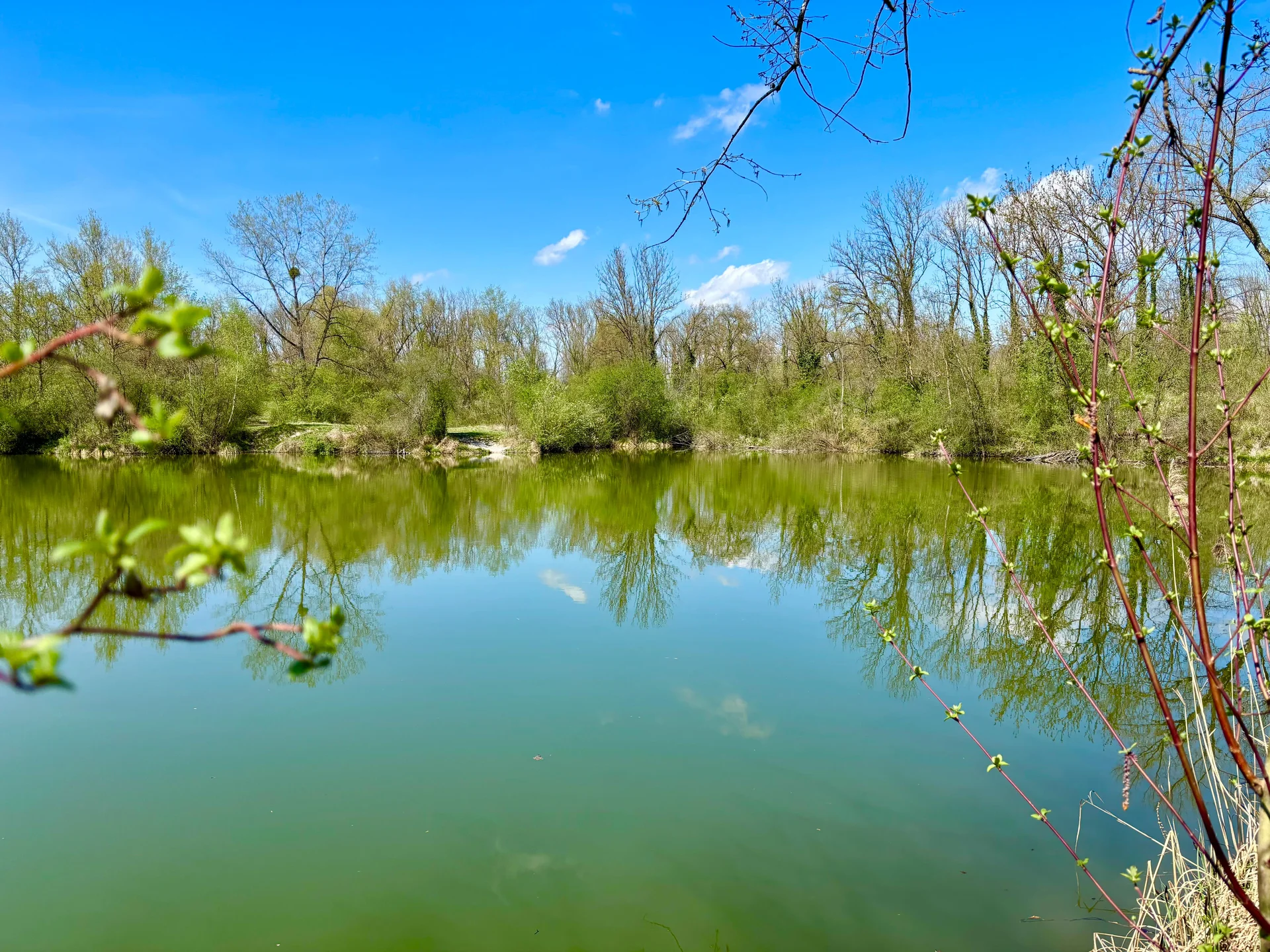 Zum Fischessen nach Gottfrieding | © Maier Georg