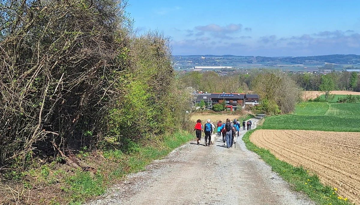 Zum Fischessen nach Gottfrieding | © Maier Georg