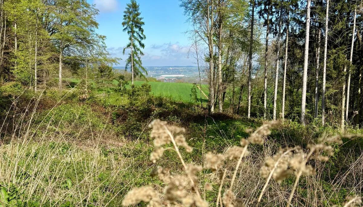 Zum Fischessen nach Gottfrieding | © Maier Georg