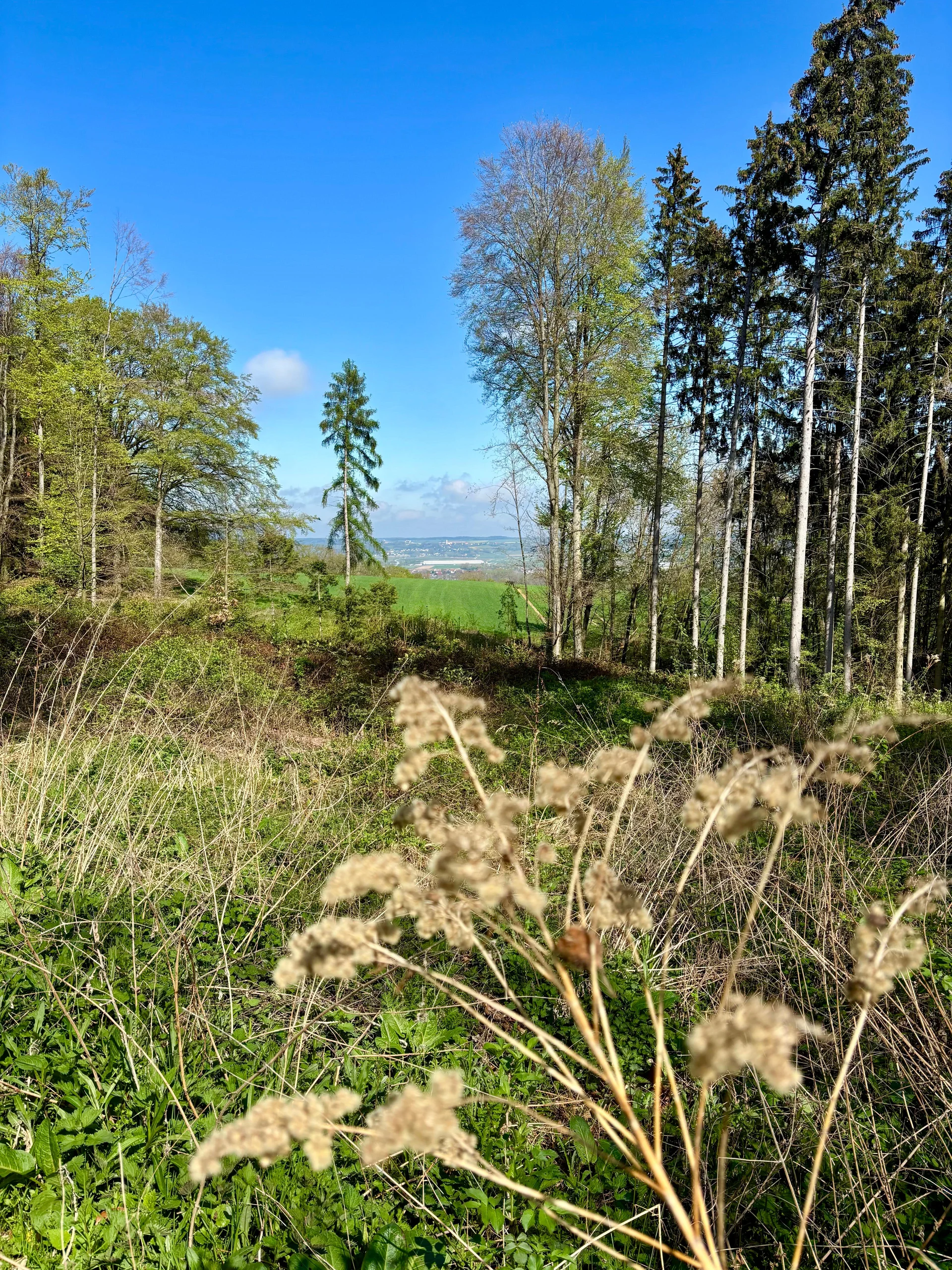 Zum Fischessen nach Gottfrieding | © Maier Georg