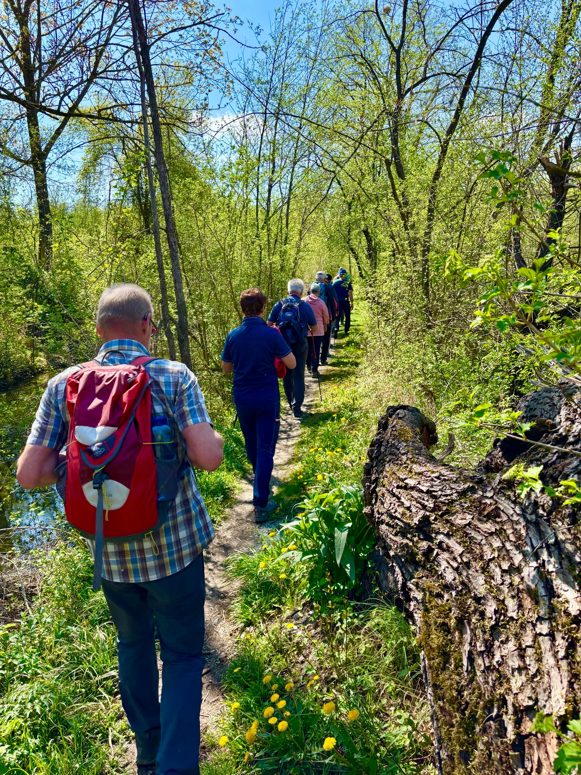 Zum Fischessen nach Gottfrieding | © Maier Georg