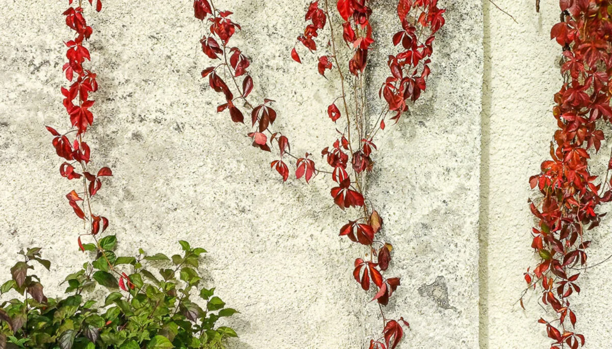 Wanderung nach Hüttenkofen | © Mayr Alfred