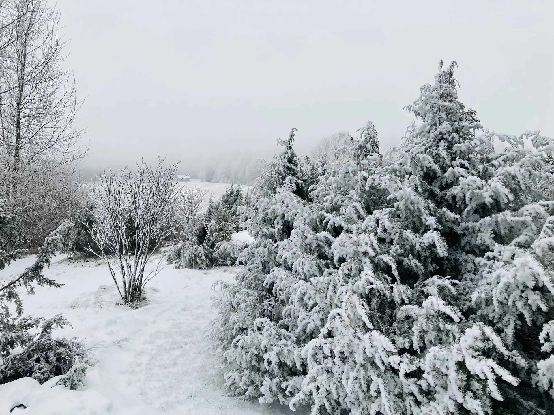 Winterwanderung auf die Käsplatte  | © Meier Brigitte