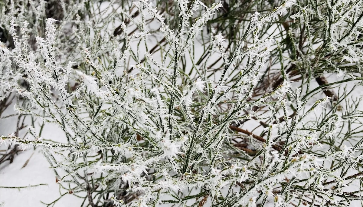 Winterwanderung auf die Käsplatte  | © Meier Brigitte