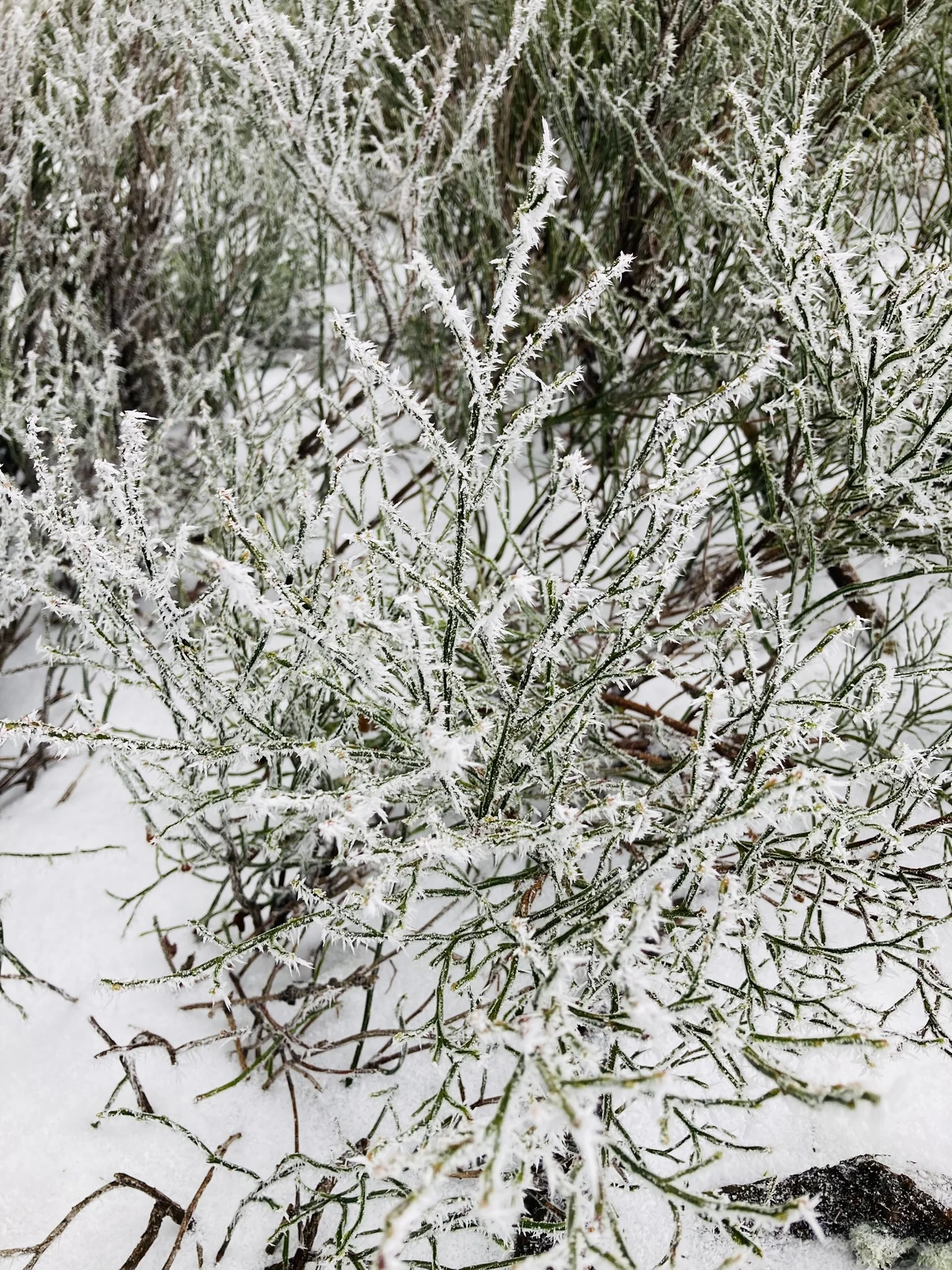 Winterwanderung auf die Käsplatte  | © Meier Brigitte