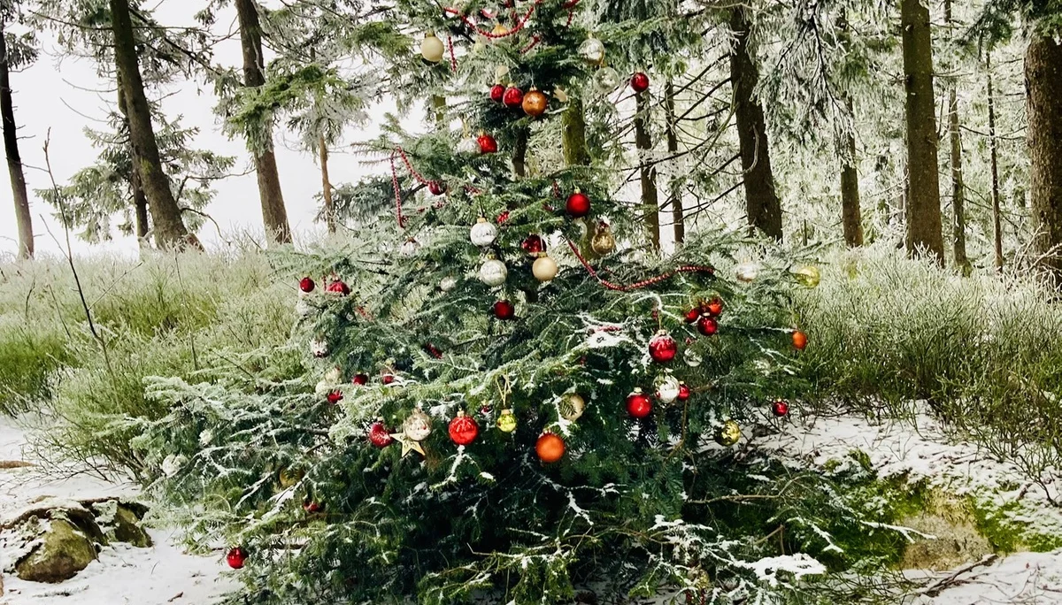 Winterwanderung auf die Käsplatte  | © Meier Brigitte